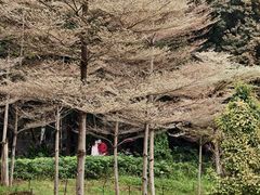 -厦门悦华酒店