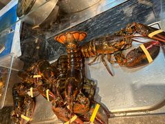 -博林天瑞喜来登酒店·西丽尚膳