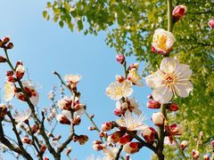 -天鹅湖体育公园