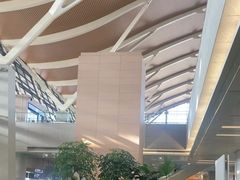 -上海浦东国际机场-T2航站楼
