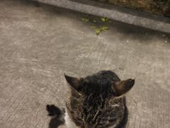 -味友·厦门味(集美店)