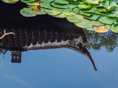 -上海醉白池公园