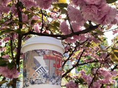 -茶颜悦色(花园道店)