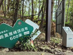 -雨花胜境