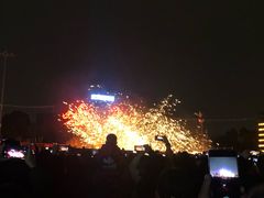 -武汉园博园(武汉自然博物馆)