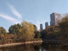 -长白岛森林公园