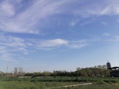 -永定河休闲森林公园