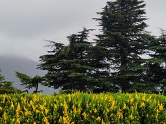 -秦始皇帝陵博物院-丽山园