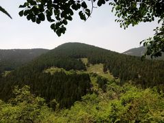 -龙洞风景区-藏龙涧