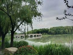 -昆山城市生态森林公园