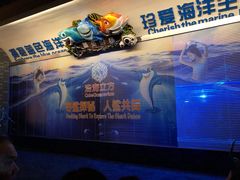 -成都浩海立方海洋公园