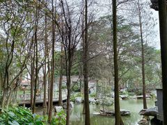 -顺峰山公园