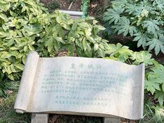 -幕燕滨江·燕子矶公园