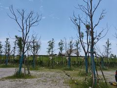 -南汇嘴观海公园