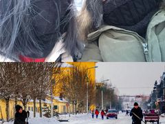 -北极星广场