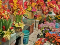 -双季花艺园艺市场(浦东店)
