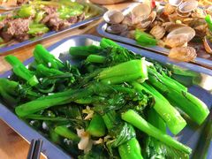 青菜-新湖烧鸡(光明店)