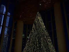-广州柏悦酒店·悦吧·顶楼露天酒吧