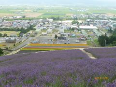 -富田农场