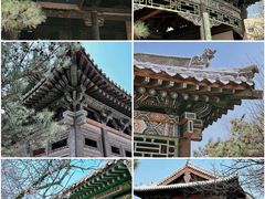 -善化寺