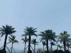 -玫瑰海岸文化旅游度假区