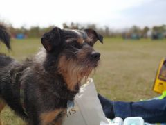 -春花秋色城市公园