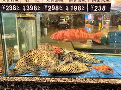 -聚福宝合苑食府(南头镇店)