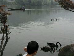 android_upload_pic-杭州世外桃源君澜度假酒店