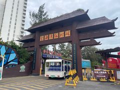 -北海金海湾红树林生态旅游区