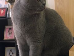 -壹人壹像工作室(购物公园店)