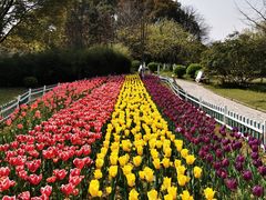 -范蠡湖公园