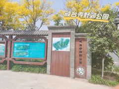 -定都峰