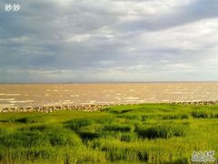 -南汇嘴观海公园