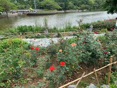 -东莞植物园