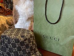 -Gucci(北京SKP店)