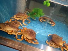 -盒马渔市(平高企业集团·平高广场店)