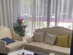 -宠爱国际动物医院· 猫科· 外科·中兽医(长白店)