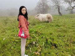 -硗碛藏寨·神木垒景区