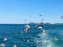 -海驴岛(荣成市)