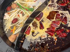 -重庆川渝肥妹火锅