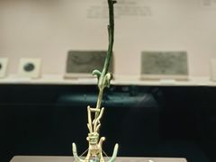 -四川博物院