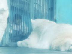 -泉城欧乐堡海洋极地世界