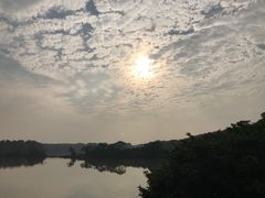 -大湾区中央湿地公园