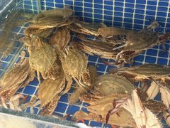 -威海渔村(黄兴路店)