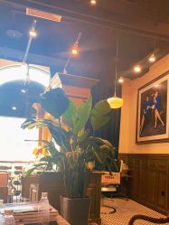 -TWOFACE 双面理发馆