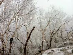 -北京灵山风景区