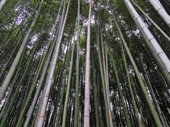 -汇龙潭