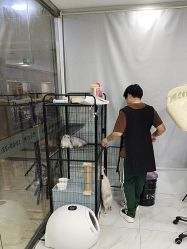 点击看大图 -镁连社·美联社