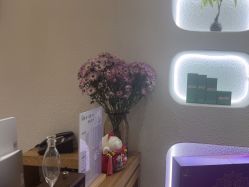 -薇薇安花系SPA