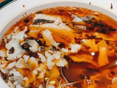 -渝乡辣婆婆·川菜 水煮鱼(中山西路店)